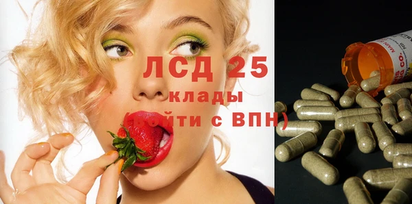стафф Бородино