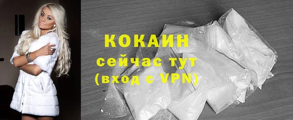 стафф Бородино