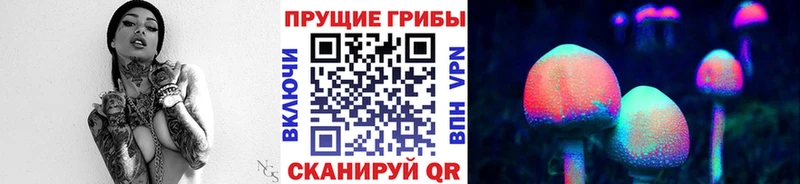 shop какой сайт  Комсомольск-на-Амуре  Галлюциногенные грибы Magic Shrooms 